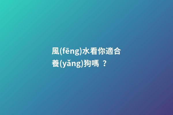 風(fēng)水看你適合養(yǎng)狗嗎？